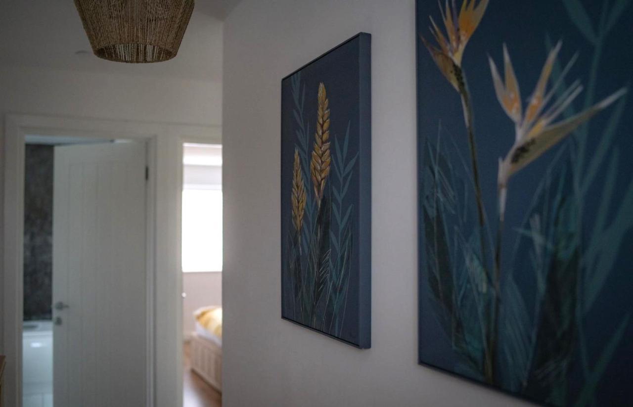 The Red House Modern Stylish Home From Home Walking Distance To Cardiff Bay And City Centre With Parking エクステリア 写真